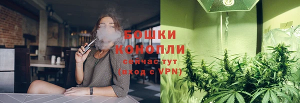 гашик Володарск