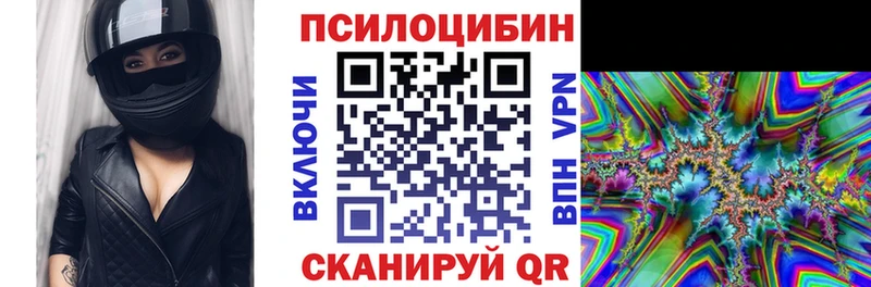 Галлюциногенные грибы Psilocybine cubensis  Искитим 